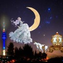 물들어간다는 것은 이미지