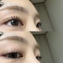 노원로 | 속눈썹펌 잘하는 곳 추천, 나디브로우 :: 아늑한 프라이빗 1인샵에서 또렷한 눈매 만들고 온 후기 ••