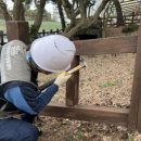 용담지석묘 2호 이미지