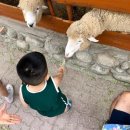 한서목장 이미지