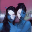도드리 스타뉴스