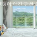 가평댕댕이애견풀빌라펜션블루