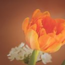 칠곡 송림사 목조석가여래삼존좌상 이미지