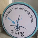 천연지하수개발 - 의성군 | 부여두피관리 두피&탈모클리닉 두피밥 부여점 두피스케일링 후기