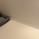 하나로동물약품 | 강아지 미끄럼방지 논슬립매트 이리로 양면롤매트 대형견 사용 후기