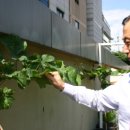 김준철농장 이미지