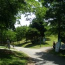 경상남도 산림환경연구원 Daum카페