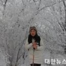 눈꽃통신 이미지