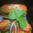 주식회사 플러스팜 이미지