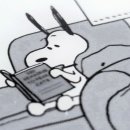 칼라비디오극장 이미지