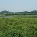 화랑공원 이미지