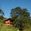 침류정(枕流亭) 이미지