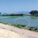 상조 마을회관 이미지