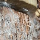 애솔어린이집 이미지