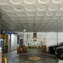 화정로데오애견마트