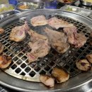 돼지가좋은세상 이미지