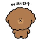 도그트리 이미지