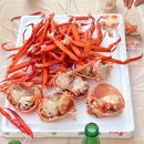 병천순대 청천점 | #29. 괴산 화양동 야영장