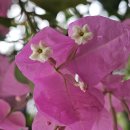 10월 7일 화요일 함종산 트래킹 이미지