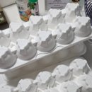 해오름농장 2 이미지