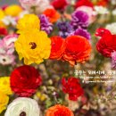 현대복지환경 이미지