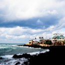 제주 올레길 15코스 B 이미지