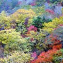 논산옆골 이미지