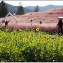 신소양체육공원 이미지