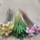 군산진포중학교 이미지