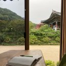 스테이 용연 이미지