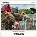 새별농장 | [제주도] 제주 새별프렌즈 후기 🐾 말부터 미니동물까지 교감농장 체험!