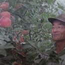 코리아히록스 이미지