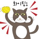 비토영어학원