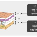 압구정아이비성형외과의원 네이버블로그