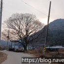 보미저수지 이미지