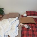 포렌하우스 이미지