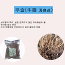 강원약초농산 네이버블로그