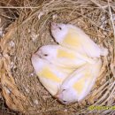 (주)이소 이미지