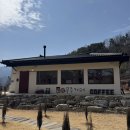 반디농원 | [무주] 설천면 카페 ‘윌로우파크커피’ : 댕댕이랑도 함께 보낼 수 있는 브런치 카페