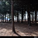 독바위역 이미지