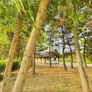 달빛축제공원(기와화장실) 이미지