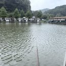 한터낚시터 | 용인 대대리한터낚시터 방갈로 1박 후기 취사가능