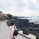 딸기네민박