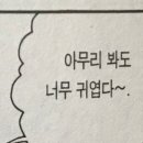 하우하
