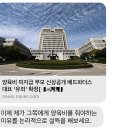 [단독] "양육비 줘야 하는 이유 설득해 봐라"… '배드파더스' 유죄에 당당해진 '나쁜 아빠' 이미지