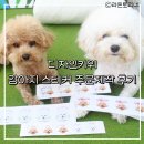 디자인키위 | 반려동물 굿즈 제작 추천 │ 디자인키위 강아지 스티커 후기