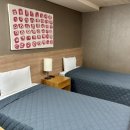 제주에스하임게스트하우스 | [제주 에스호텔] 제주공항과 가까운 호텔식 게스트하우스(파티 찐 후기)