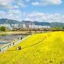 상맹방1리마을회관 네이버블로그