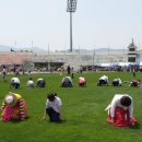 밀양종합운동장 이미지