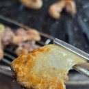 띠뚱띠뚱 오리집 이미지